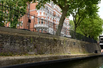 DSC_2745 (Large).JPG